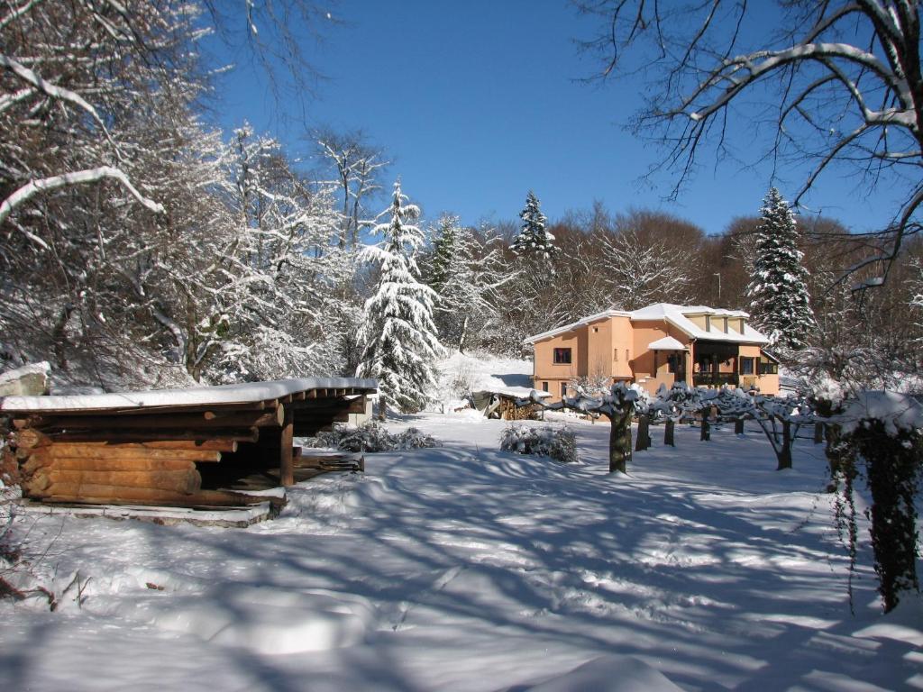 Pyrenees Emotions, Eco-Responsables, Nature, Sports Aventures Malvezie Ngoại thất bức ảnh